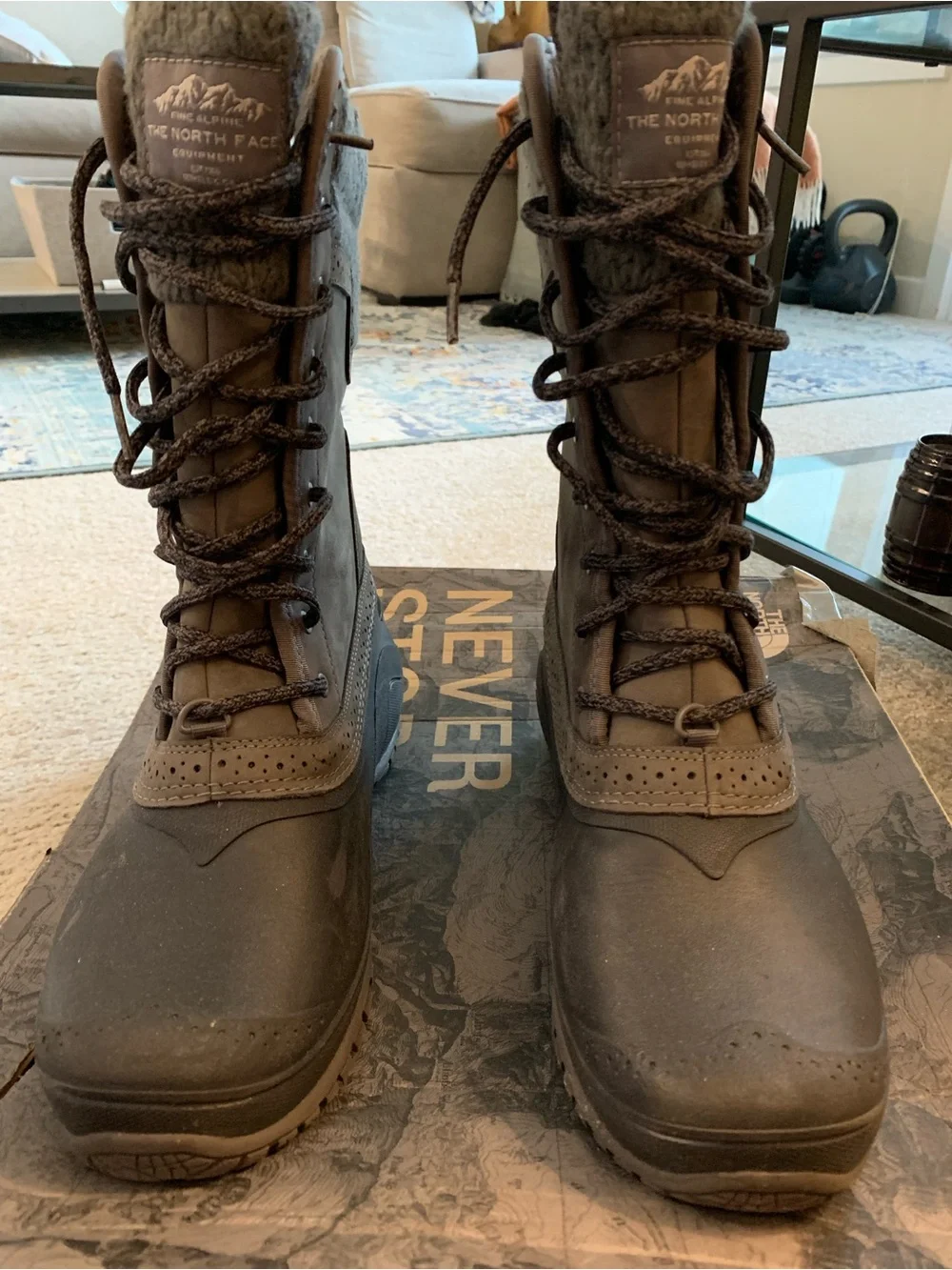 The North Face Women's Shellista II Mid Boot - Plum Kitten Grey & Phantom Grey